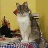 Отзыв от Динара Новикова